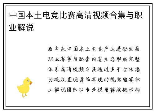 中国本土电竞比赛高清视频合集与职业解说