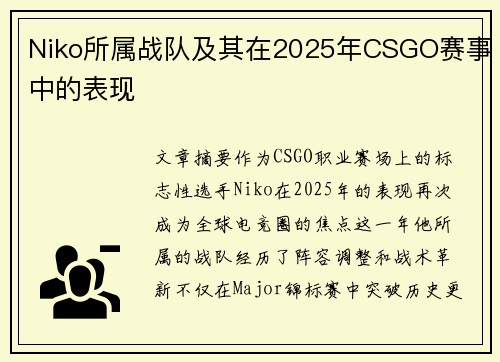 Niko所属战队及其在2025年CSGO赛事中的表现