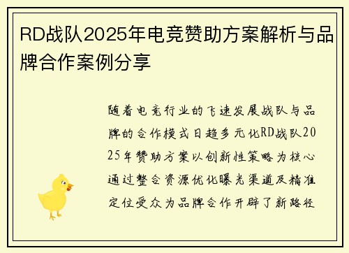 RD战队2025年电竞赞助方案解析与品牌合作案例分享